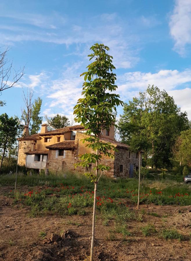 Affittacamere Molino Del Buho Torre la Cárcel Esterno foto