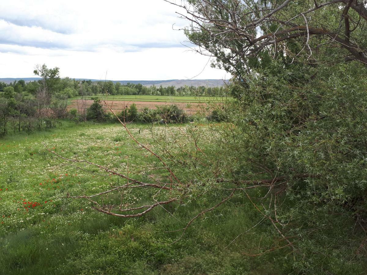 Affittacamere Molino Del Buho Torre la Cárcel Esterno foto