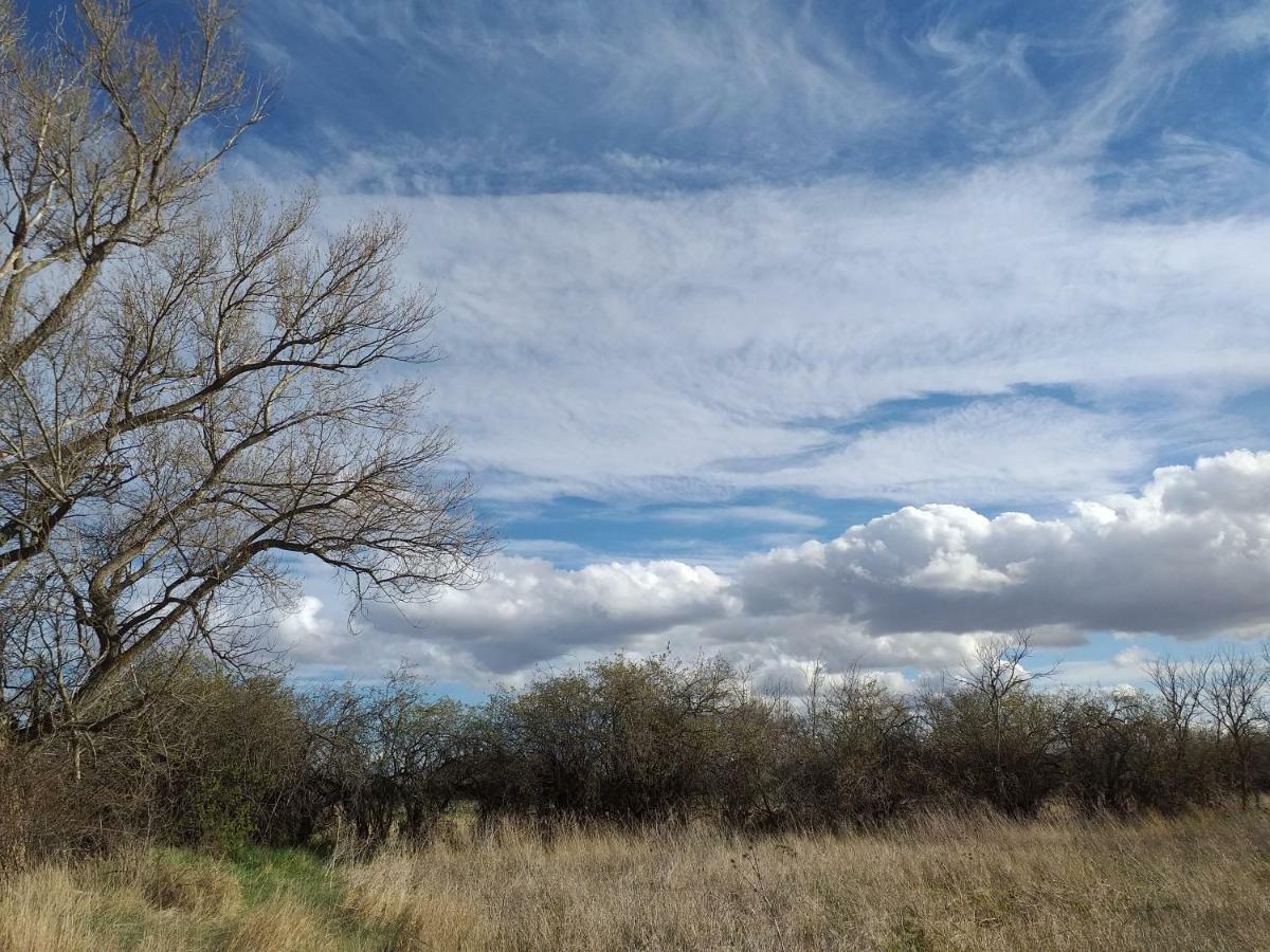 Affittacamere Molino Del Buho Torre la Cárcel Esterno foto
